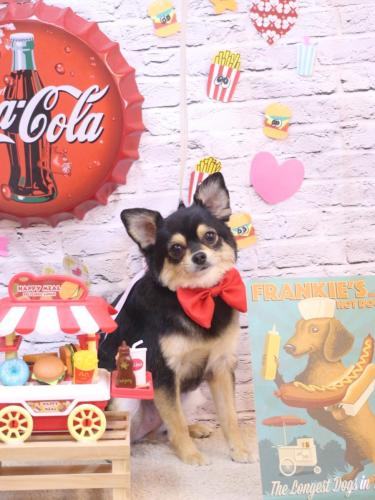 20230926ももちゃん